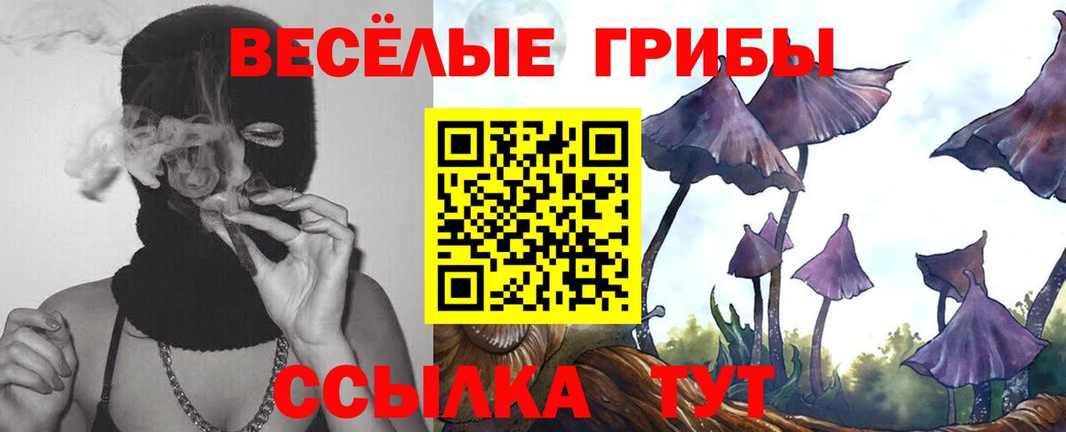 Псилоцибиновые грибы мицелий Артём